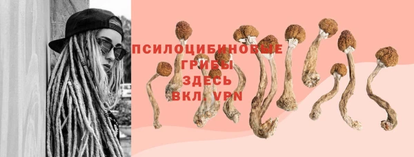 Альфа ПВП Балахна