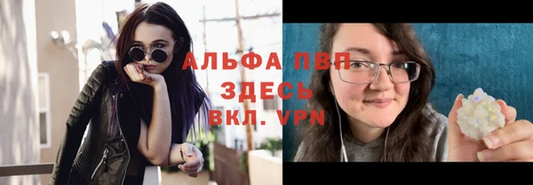 индика Балабаново