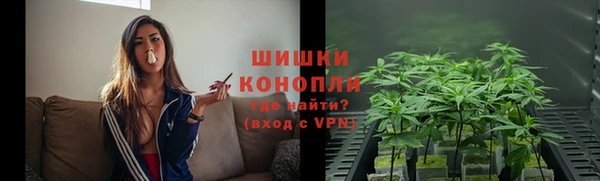 индика Балабаново