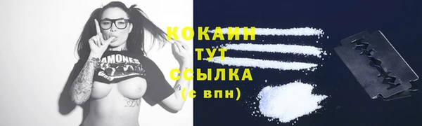 индика Балабаново