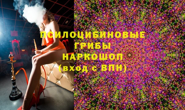 индика Балабаново