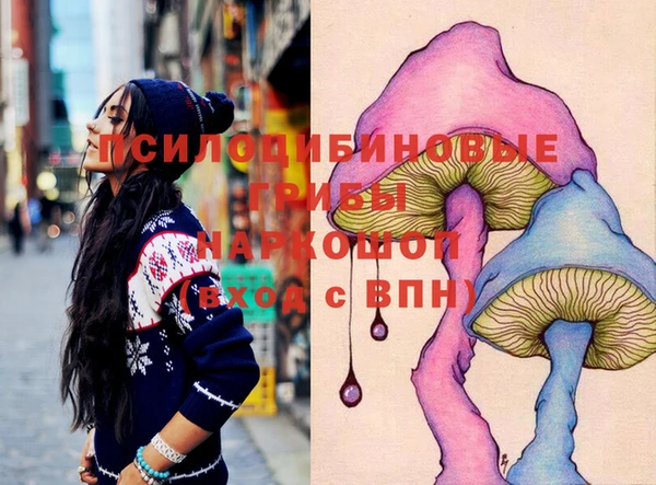 индика Балабаново