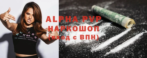 индика Балабаново