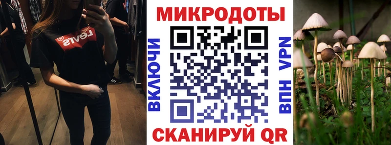 дарнет шоп  Серов  Галлюциногенные грибы мухоморы 